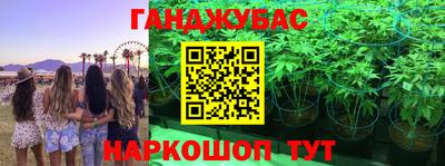 дмт Заводоуковск