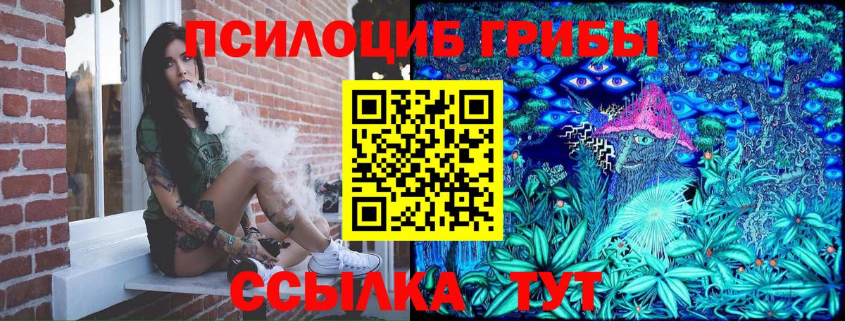 где купить   Вход с VPN  Псилоцибиновые грибы мухоморы  Ростов Великий  Псилоцибиновые грибы прущие грибы 