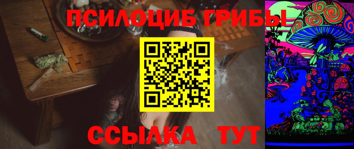 Псилоцибиновые грибы Psilocybine cubensis Ростов Великий