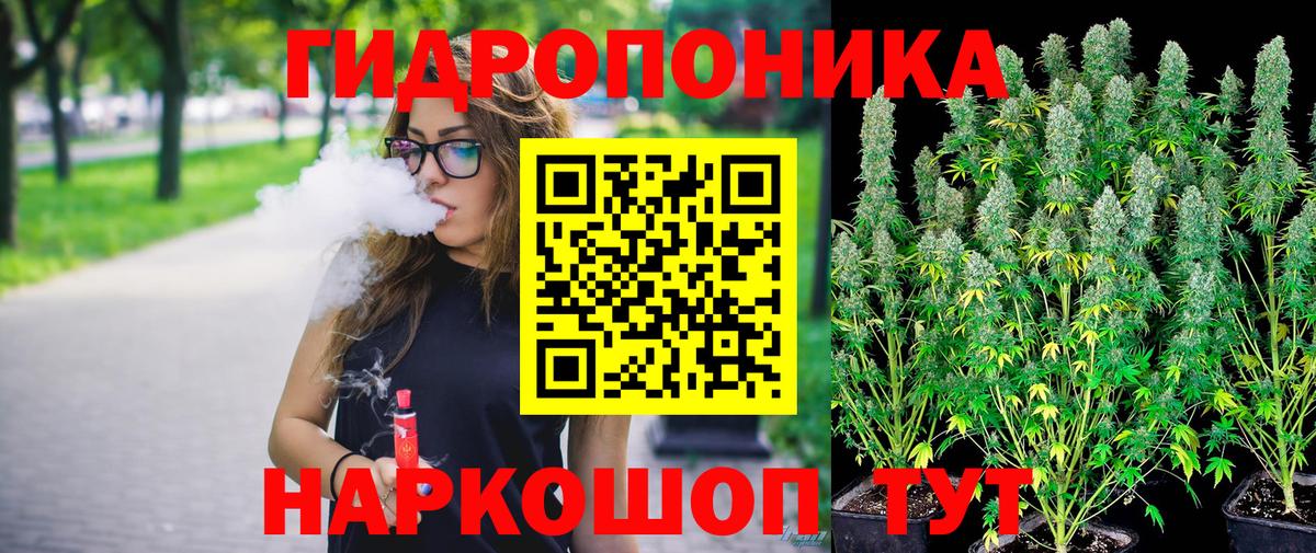 Конопля конопля Ростов Великий